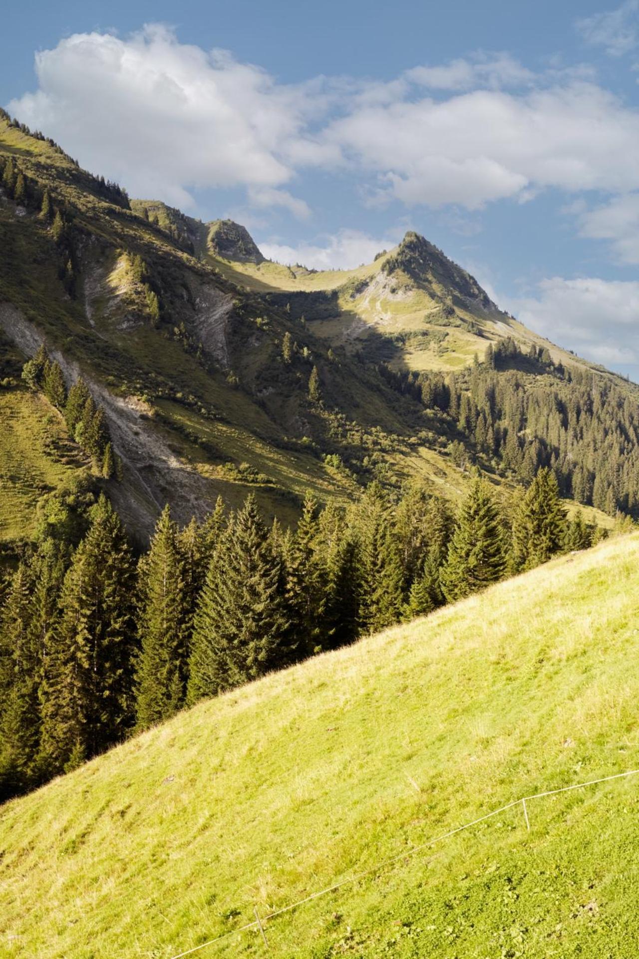 Апартаменты Alpenstolz Damuels Haus 4 - Stilvoll Urlauben In Den Bergen Экстерьер фото