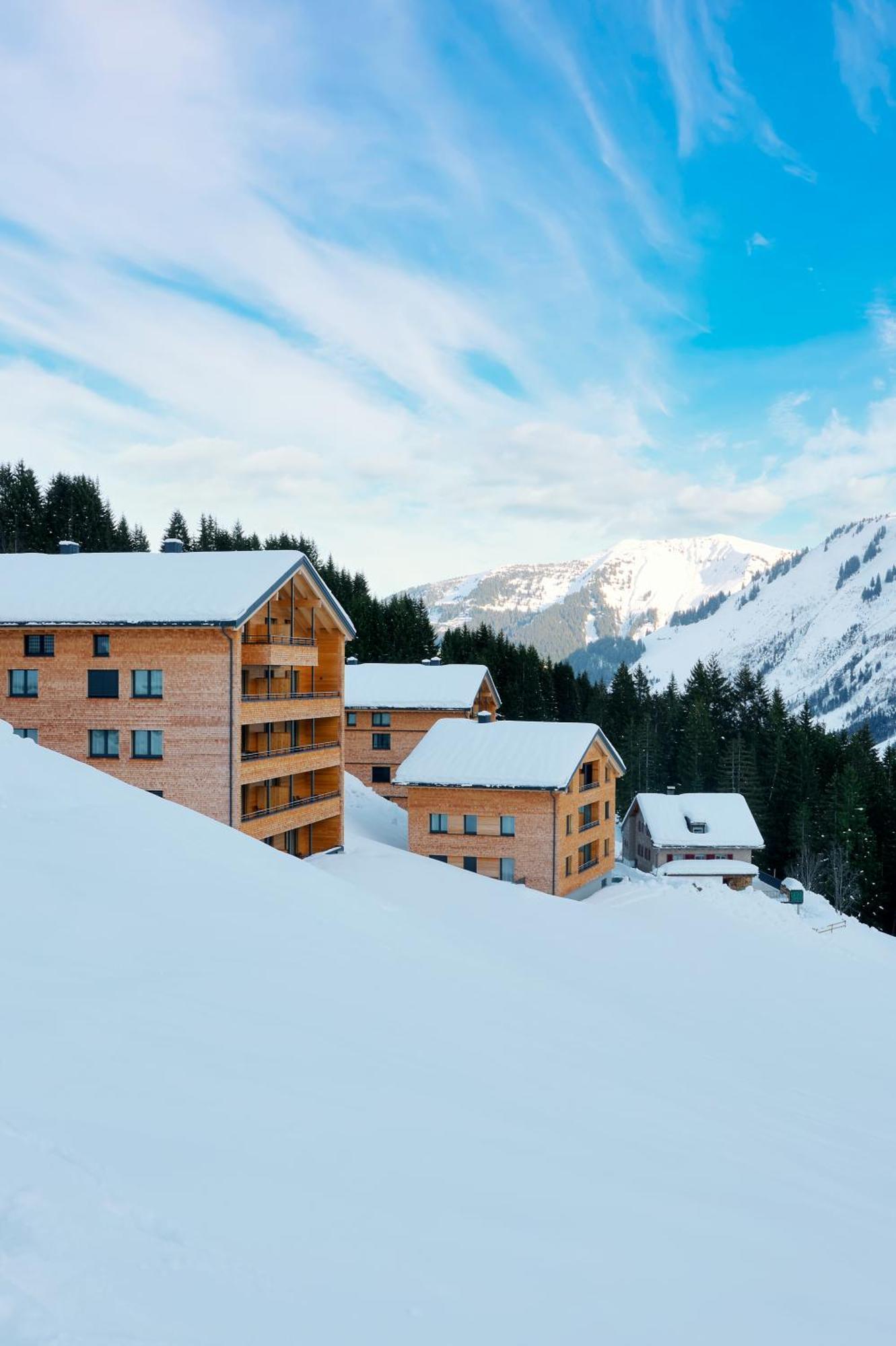 Апартаменты Alpenstolz Damuels Haus 4 - Stilvoll Urlauben In Den Bergen Экстерьер фото